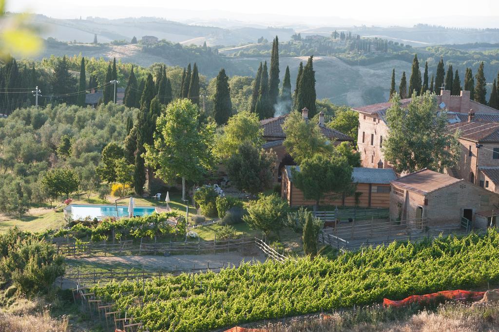 Agriturismo Fattoria Armena Villa Buonconvento Экстерьер фото